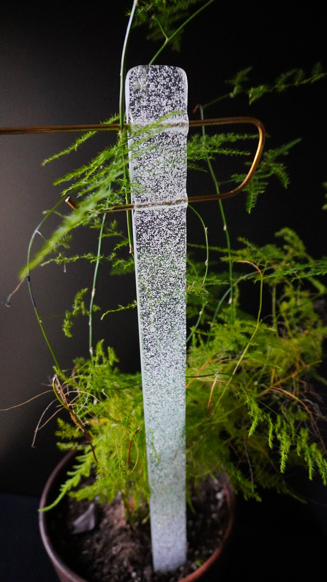 Plant Rod